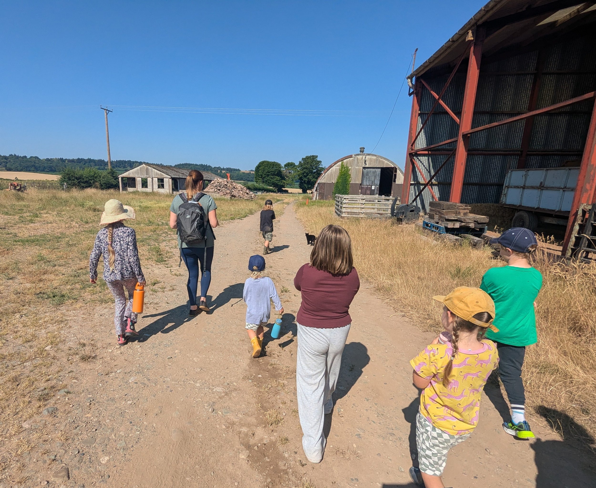 Playing the fox and chicken game walking through the farmyard