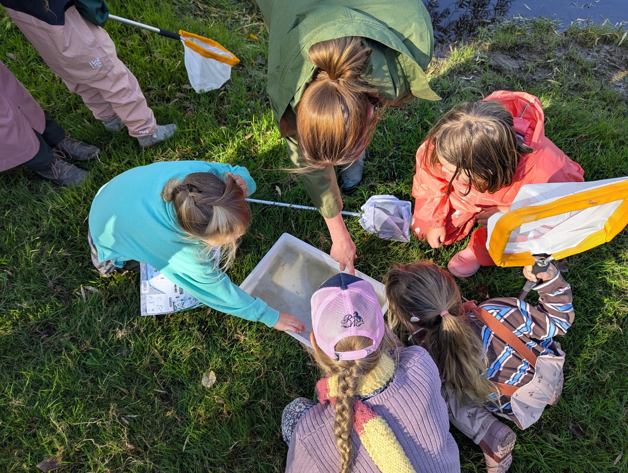 Identifying creatures using ID charts and measuring water quality