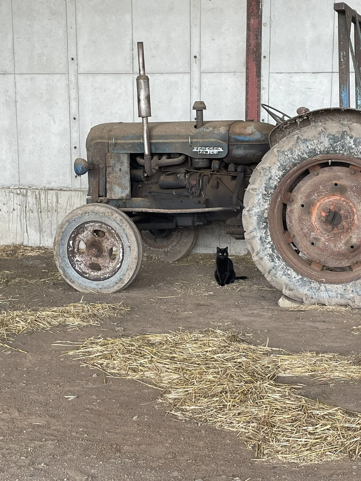 Old tractor and farm cat