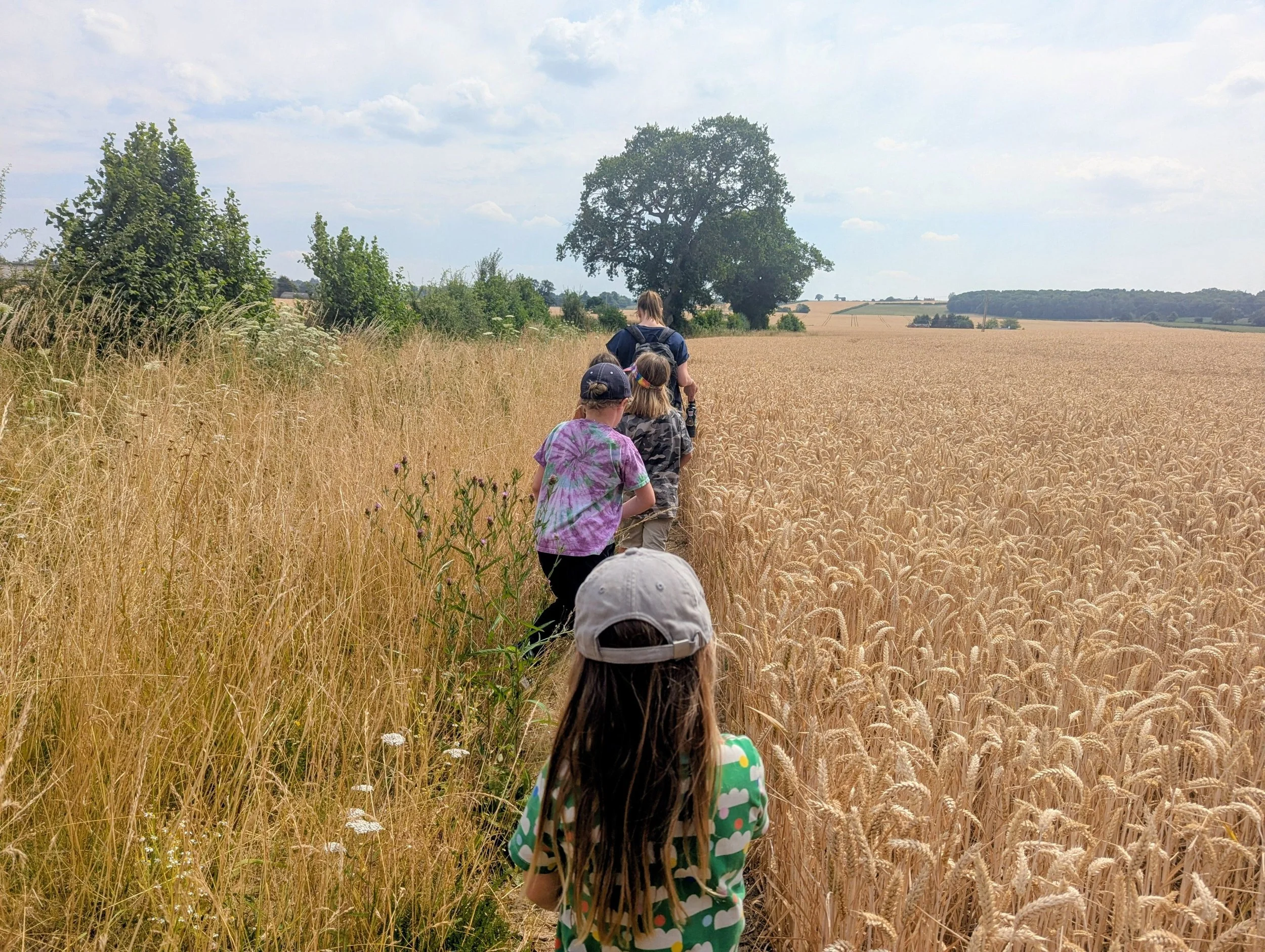 Children in the wildflower margin