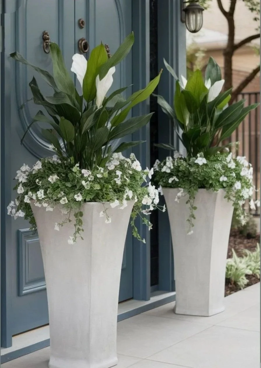 Two tall white planters with green leafy plants and white flowers are placed outside near a blue front door.