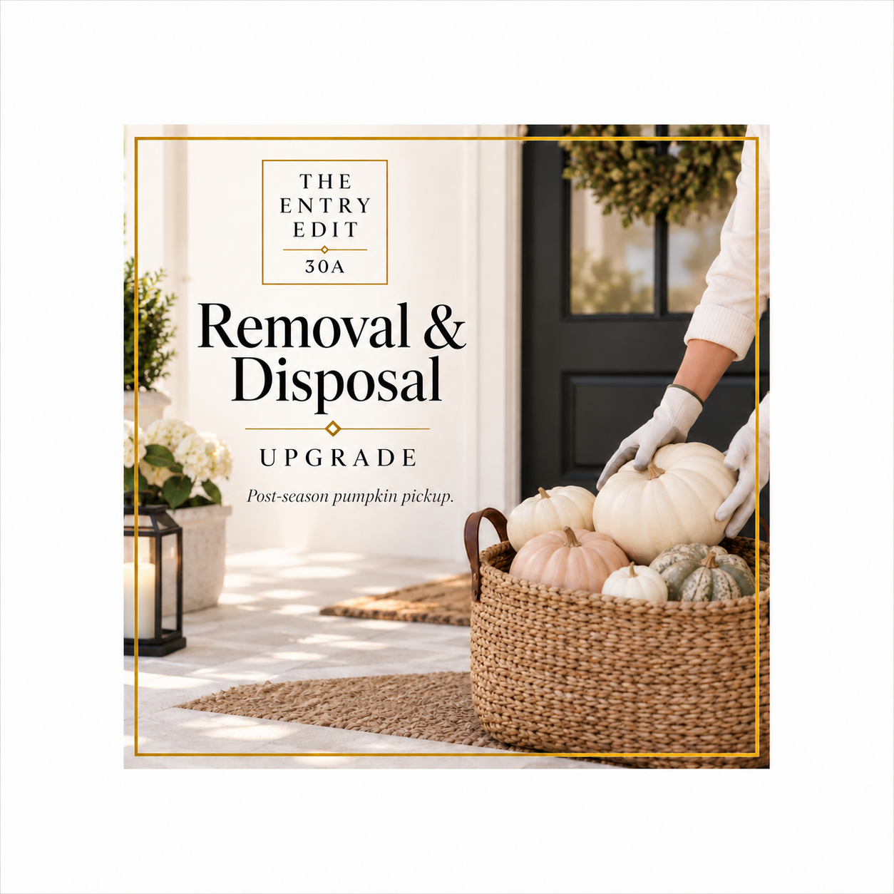 End of Season Removal & Disposal : Estate Pumpkin Edit