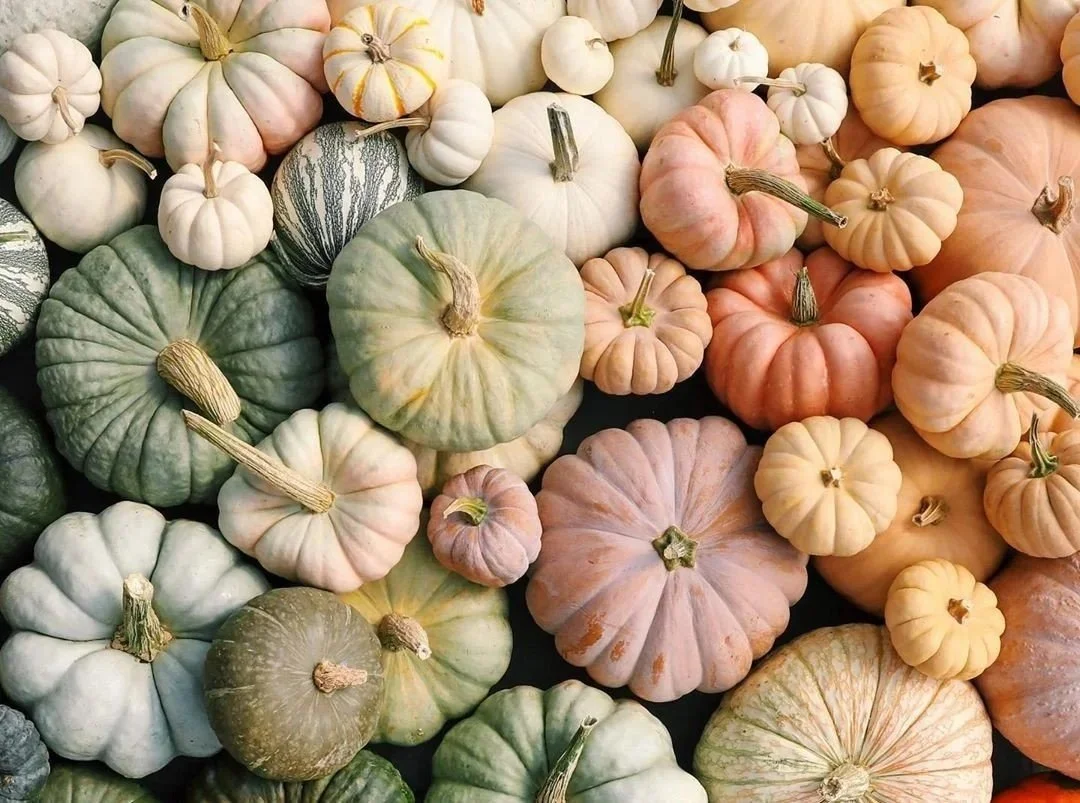 A variety of decorative pumpkins in different sizes, shapes, and pastel colors, including white, orange, green, and striped patterns. Seasonal pumpkin styling arrangement for entry porch.