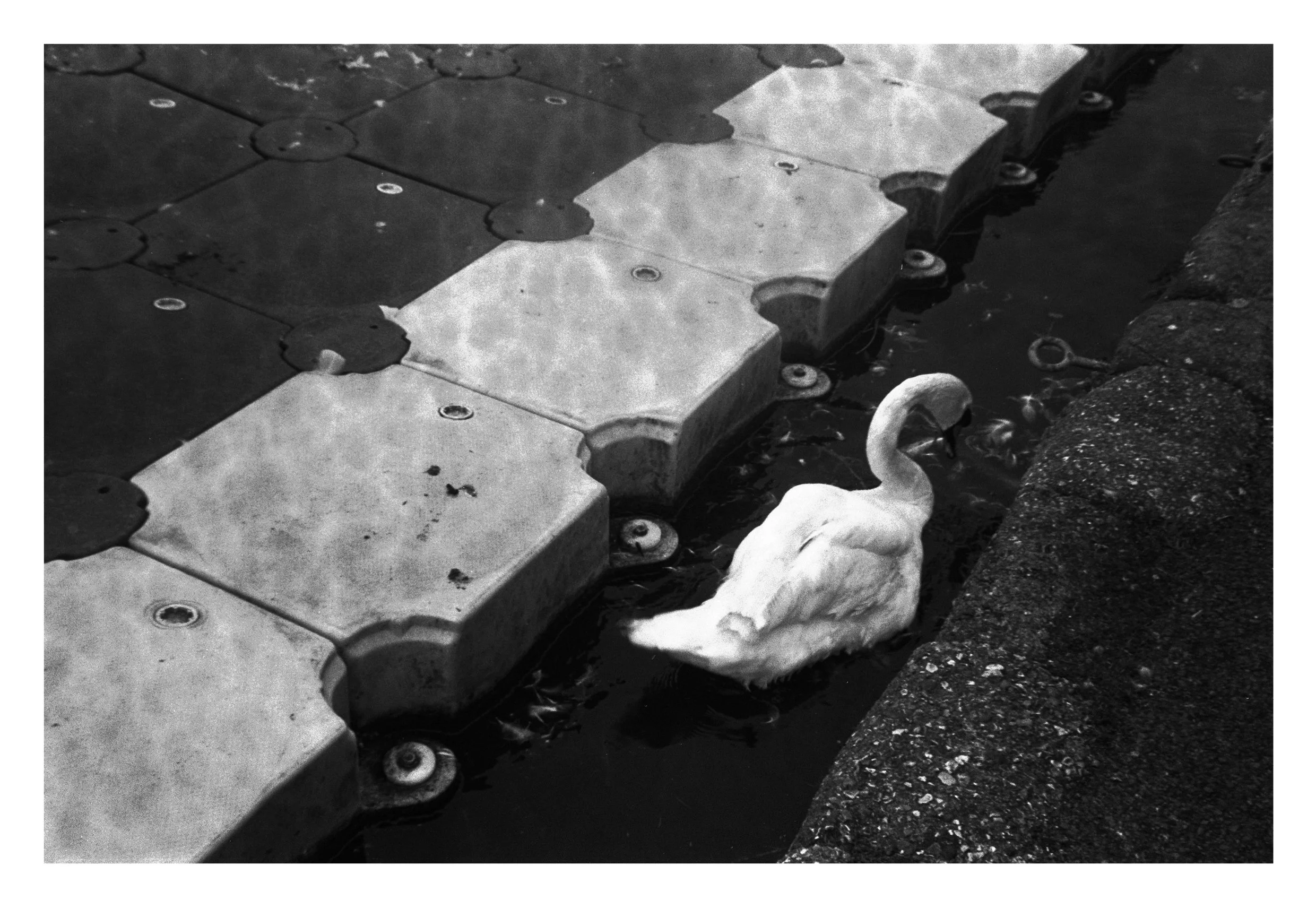 thames book content63.jpg