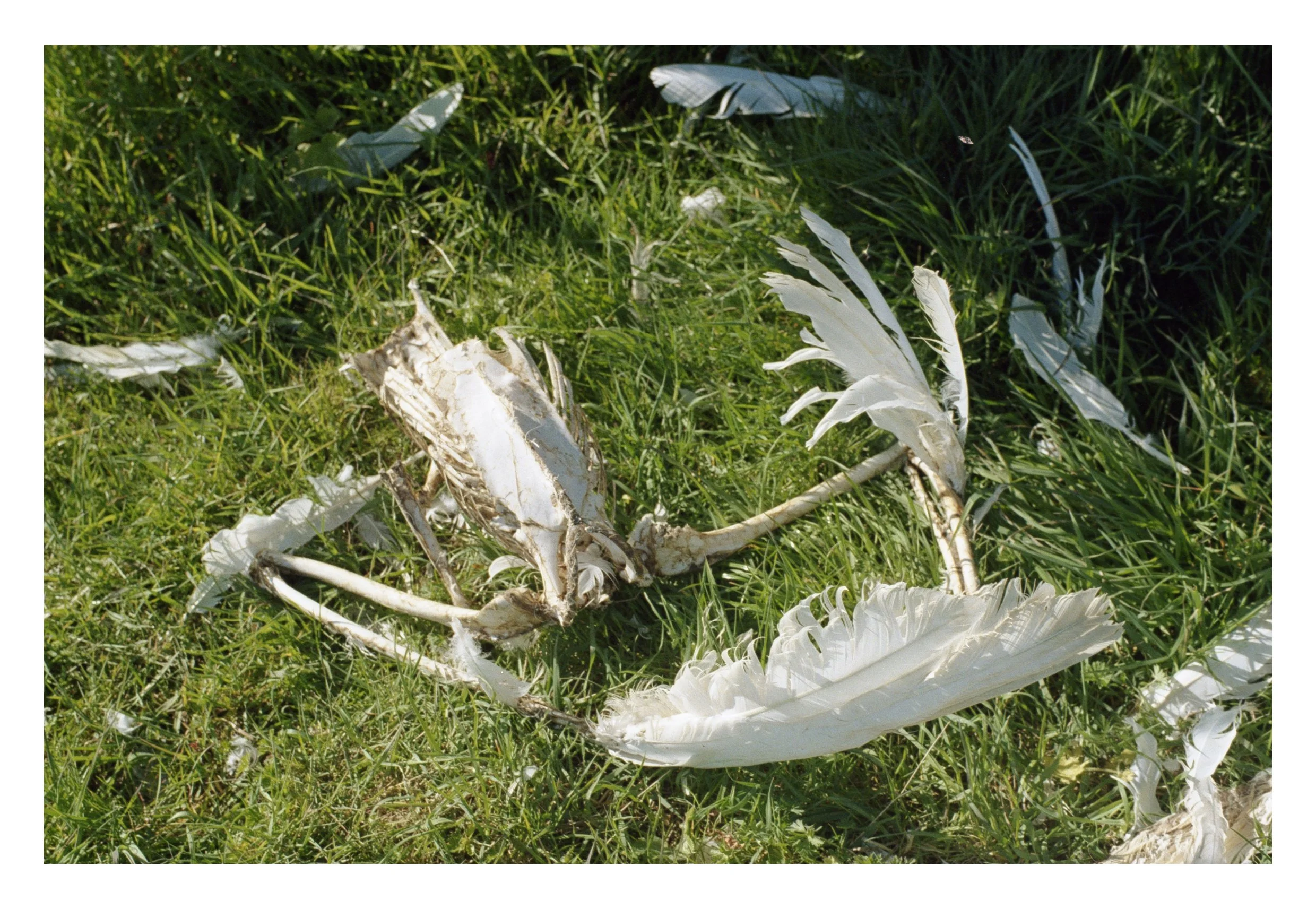 thames book content21.jpg