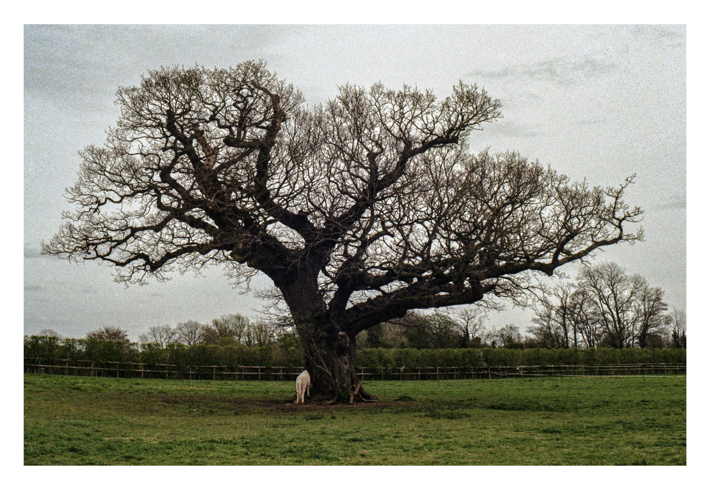 thames book content9.jpg