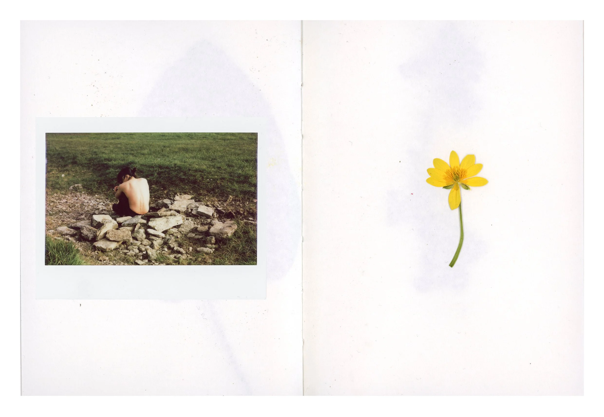 thames book content3.jpg