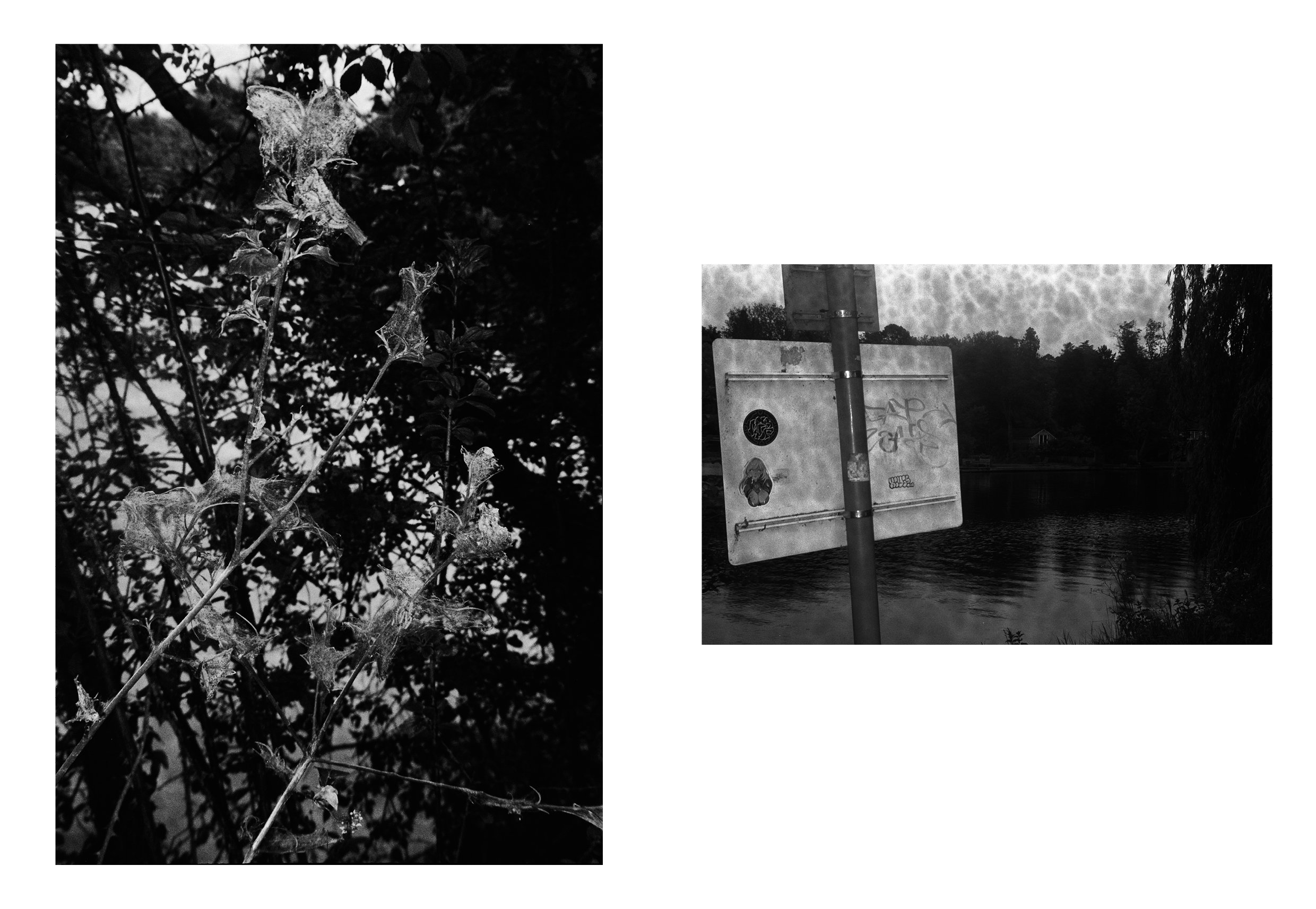 thames book content68.jpg