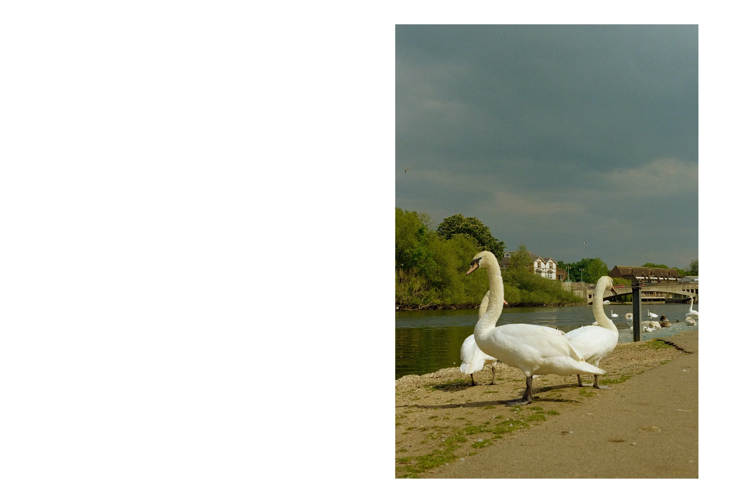 thames book content62.jpg