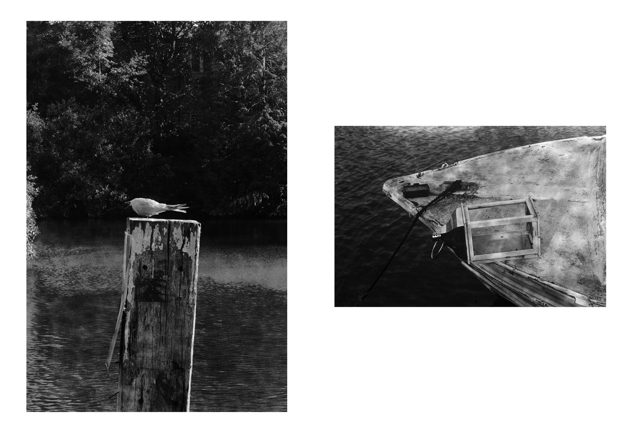 thames book content49.jpg