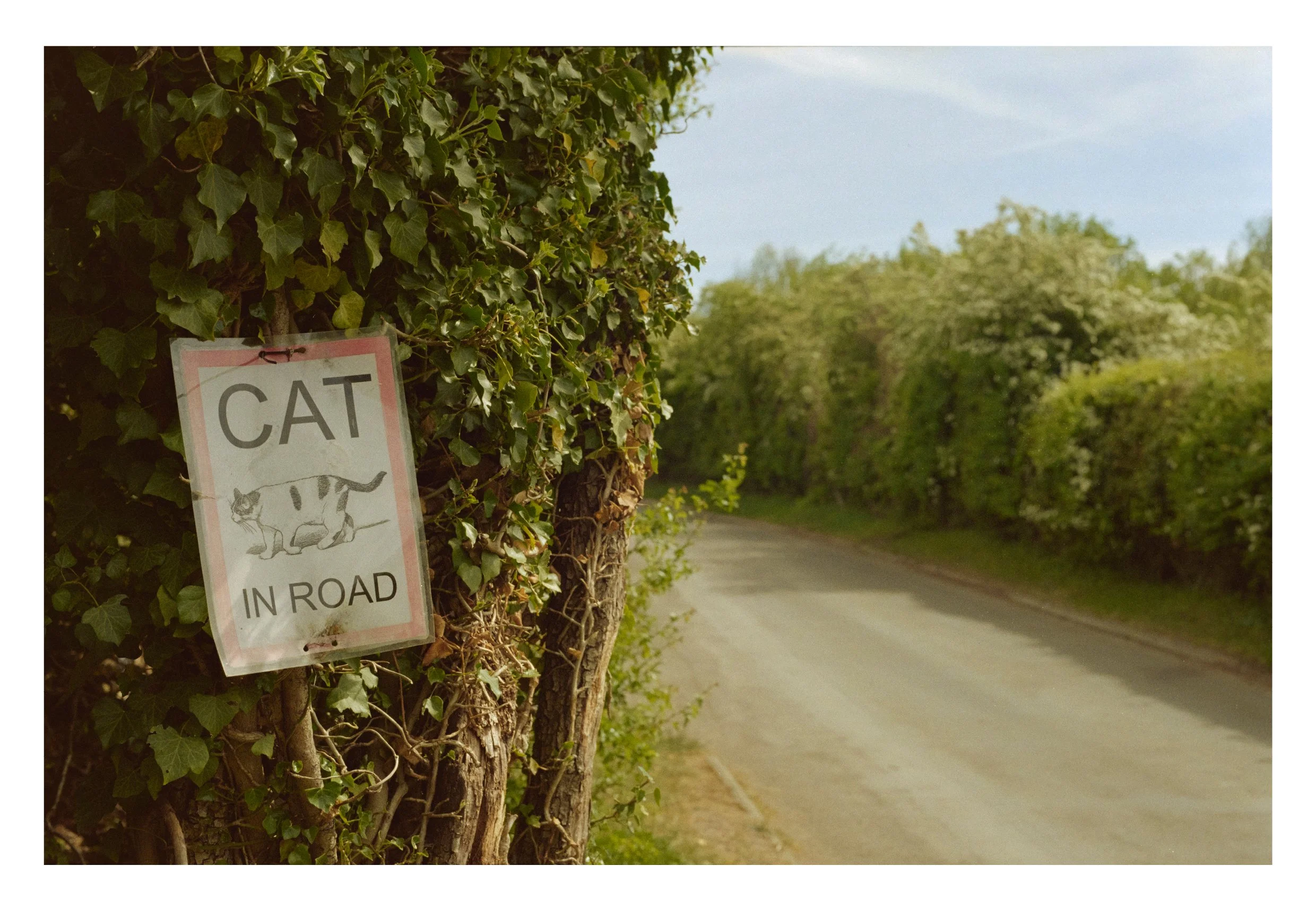 thames book content41.jpg