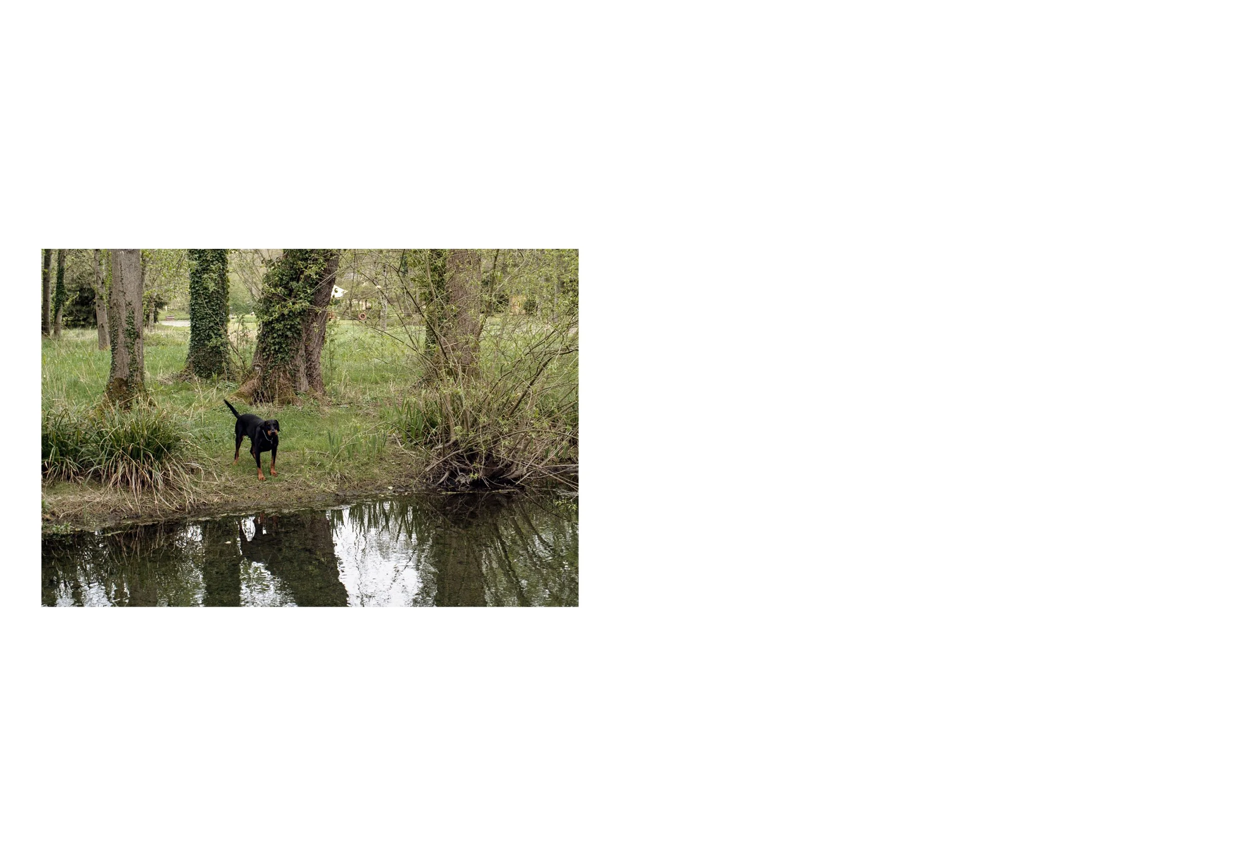 thames book content7.jpg