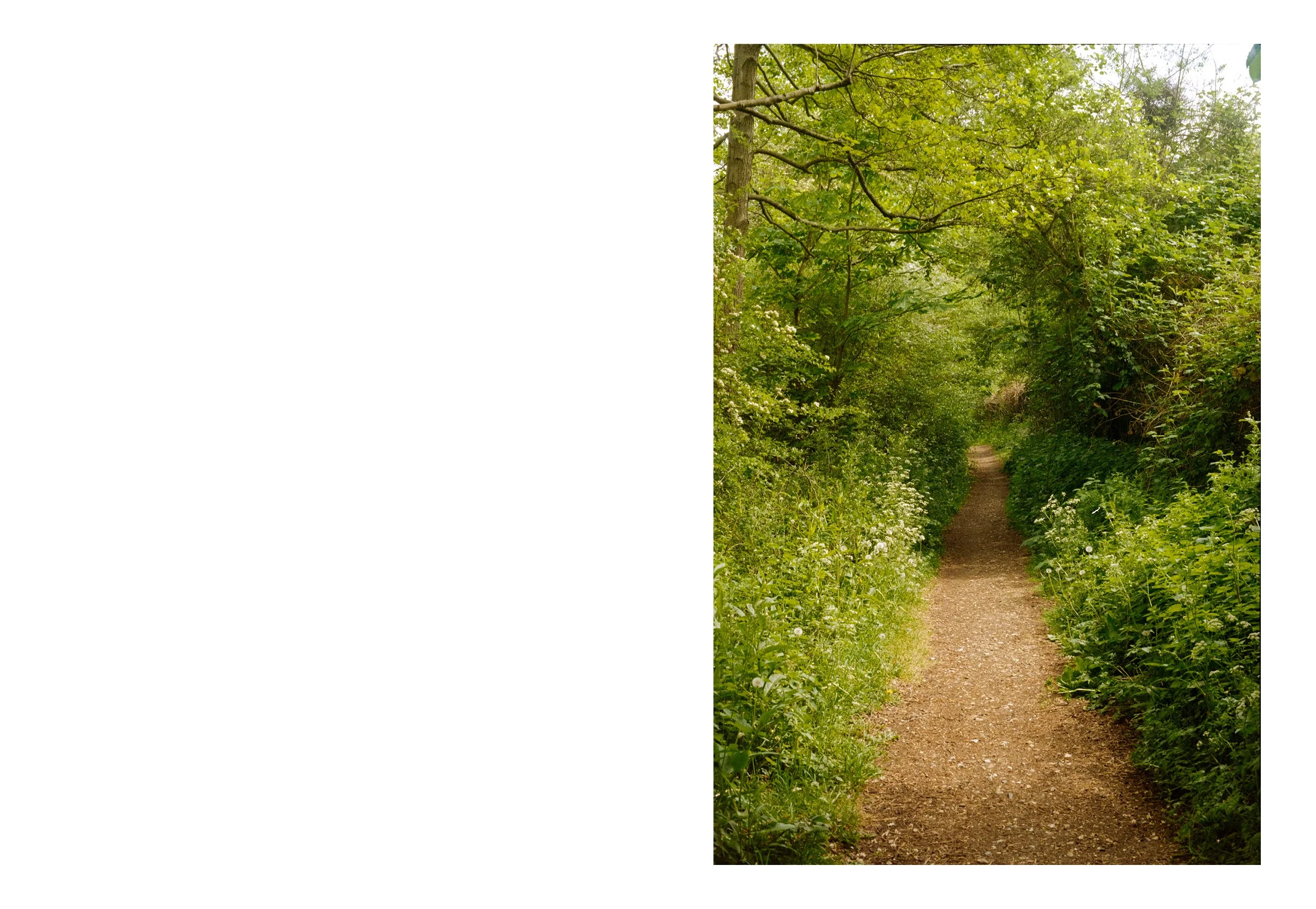 thames book content56.jpg