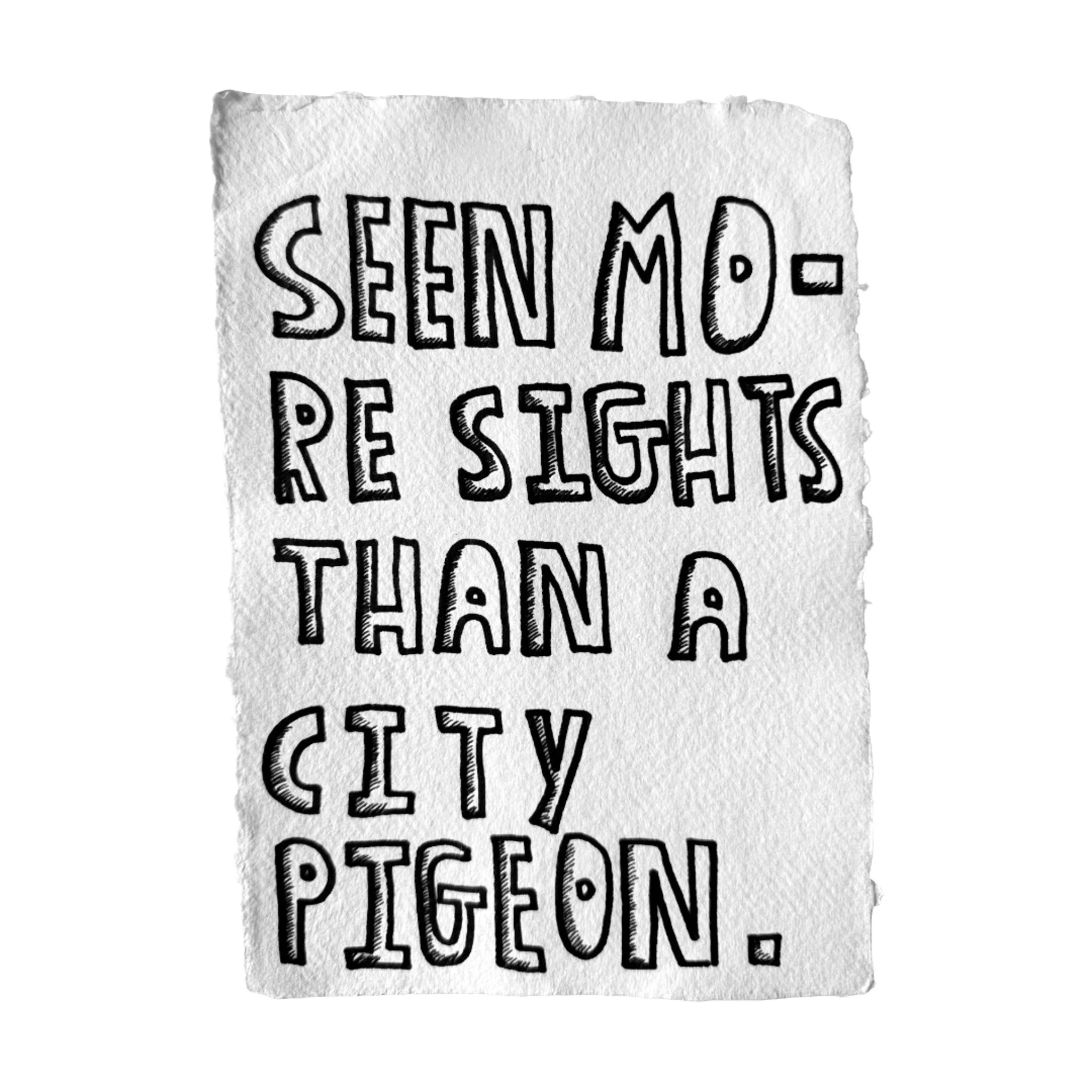 city pigeons