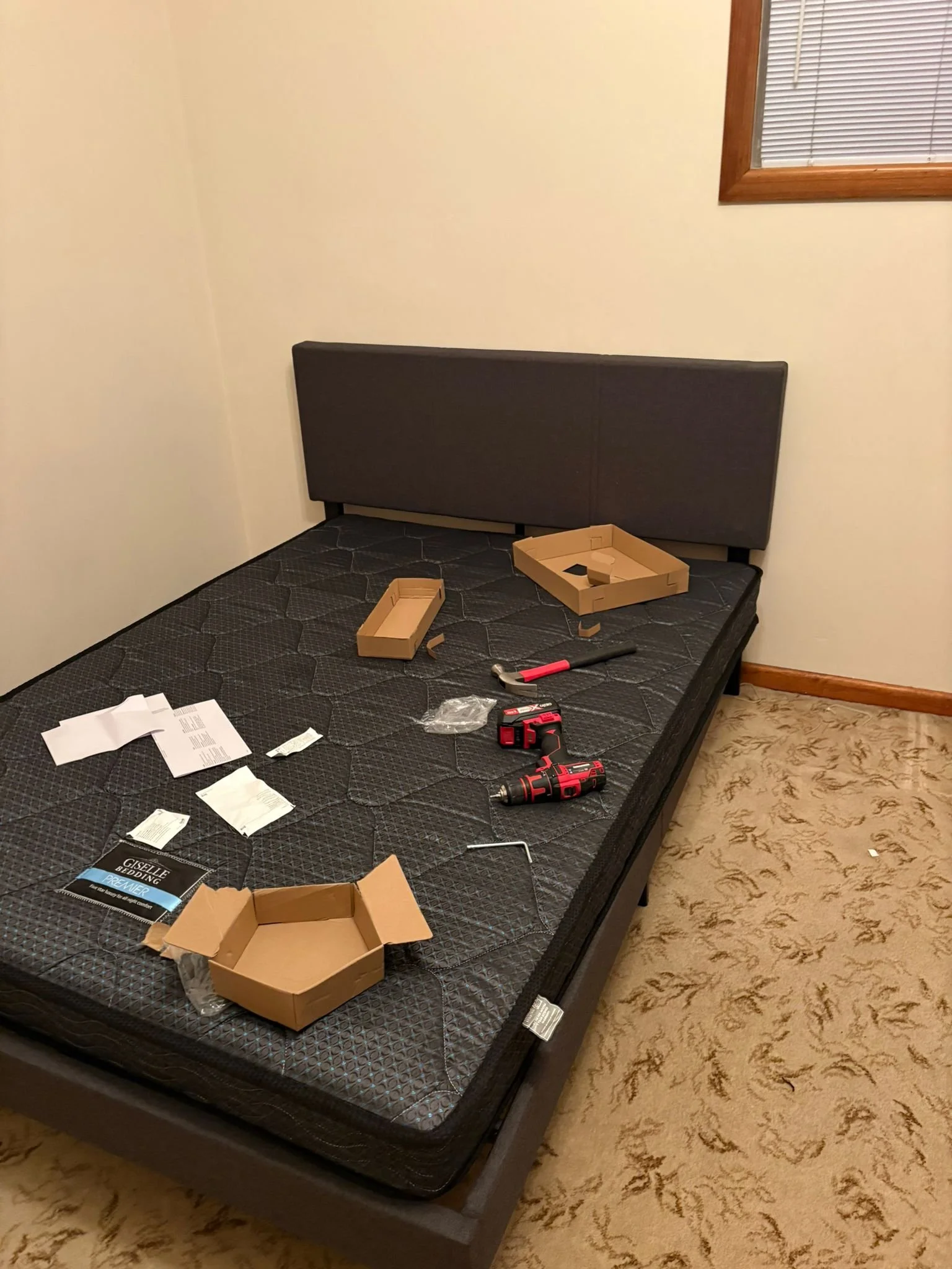 423a3700-4690-4334-aead-a66d5845b3b3.jpg