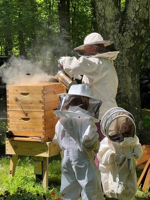 bee2.jpg