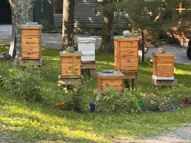 behive4.jpg