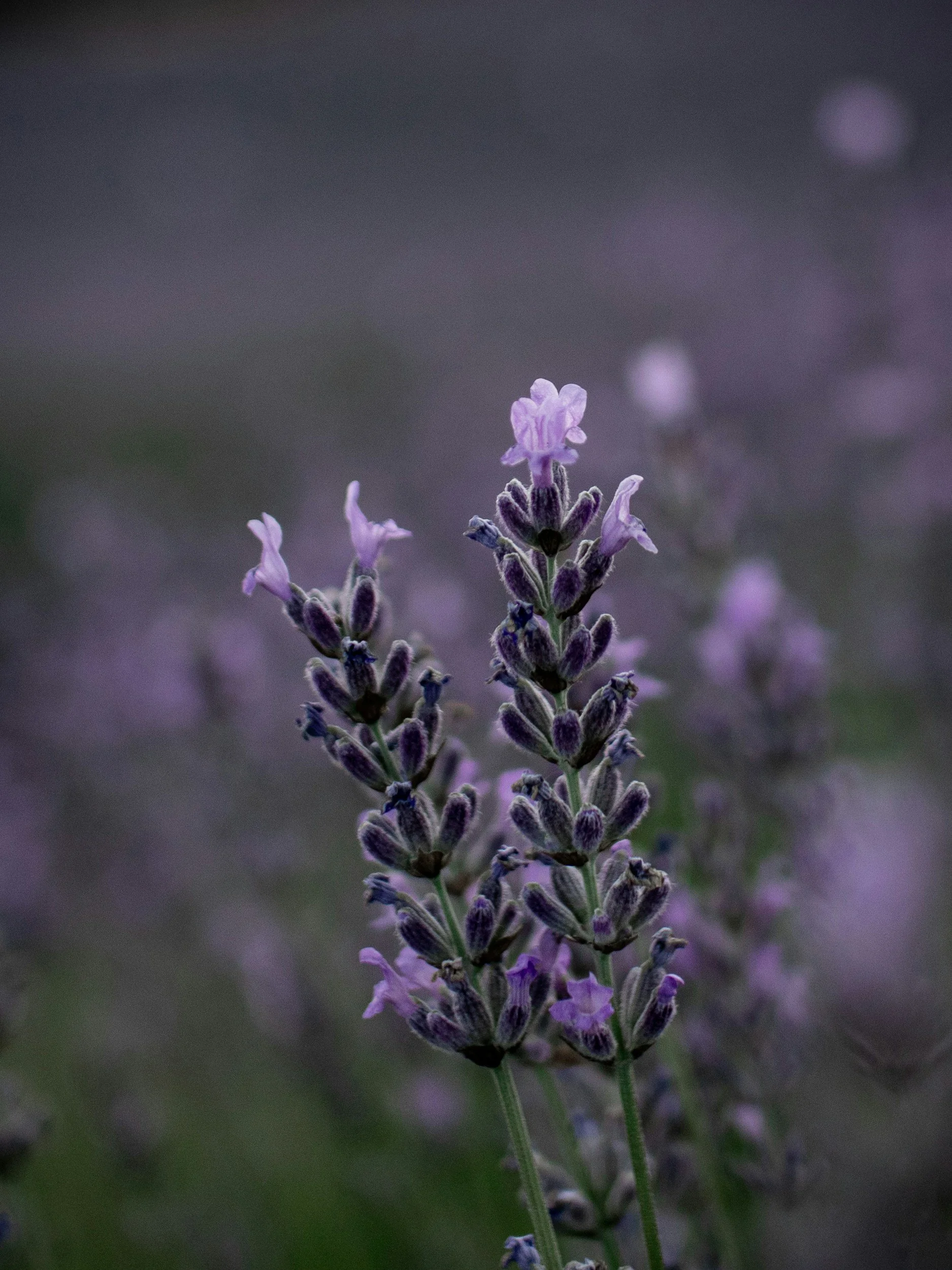 unsplash-image-xZEh5md6FPY.jpg
