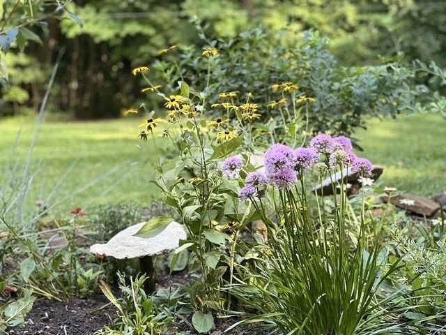 flower 4.jpg