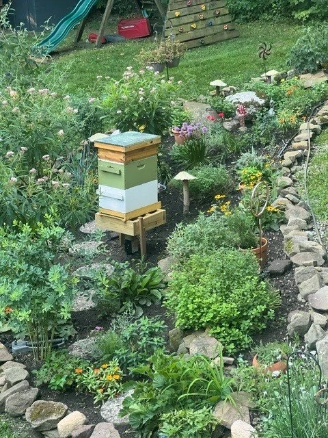 bee 4.jpg
