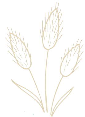 Trois fleurs avec tiges et feuilles dessinées en beige sur un fond noir.