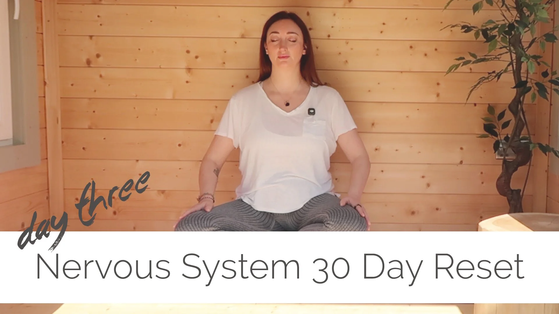 A woman with closed eyes practicing meditation or yoga in a wooden room with a potted plant on the right side. The text "day three" and "Nervous System 30 Day Reset" are visible.