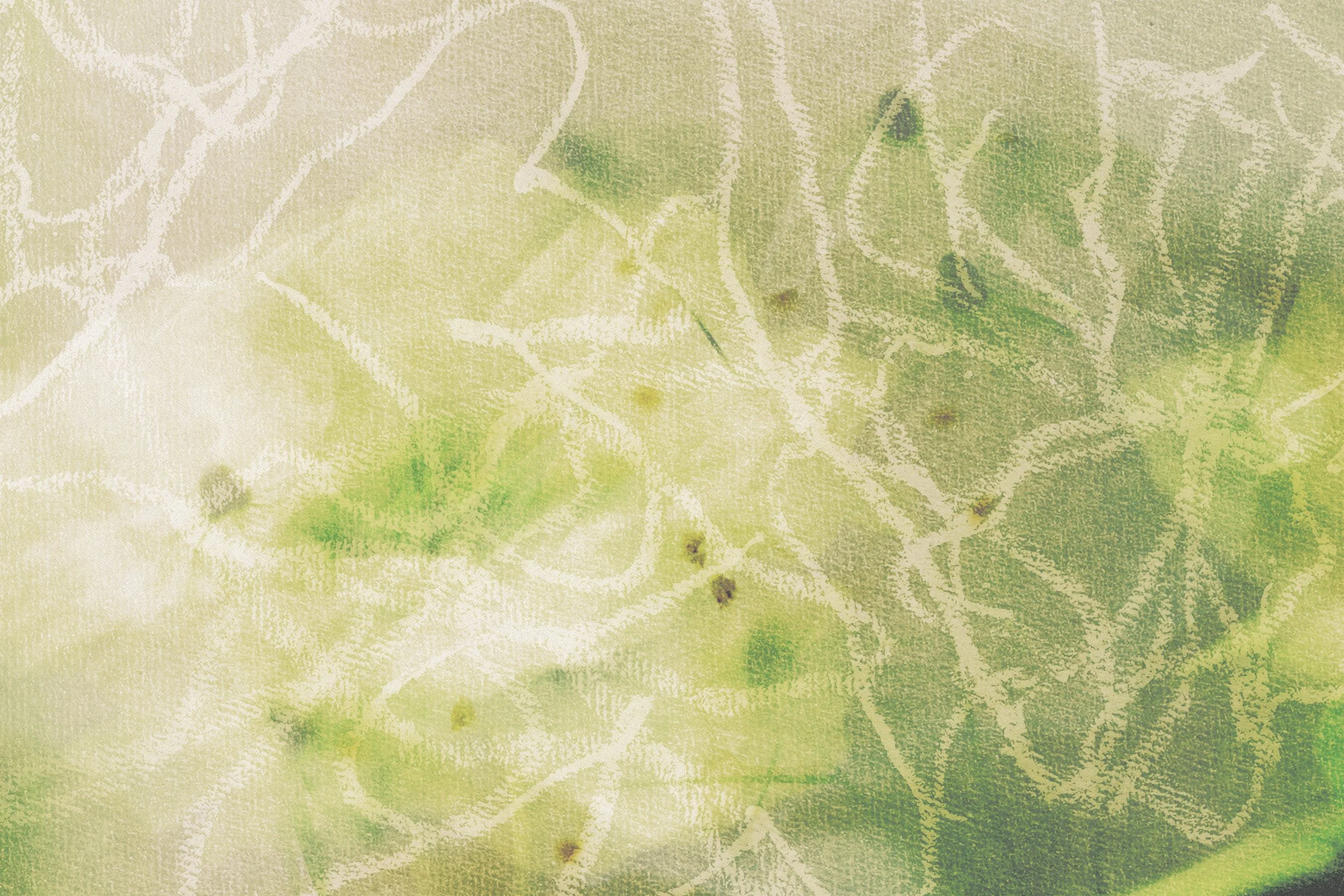 Close-up of green grapevine leaves with visible veins and small dark spots, textured background.