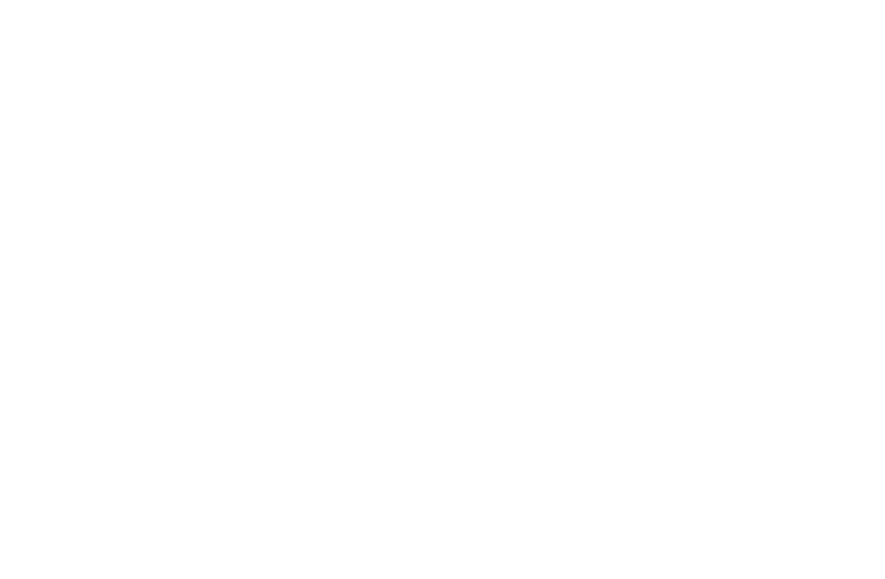 Head Back Home