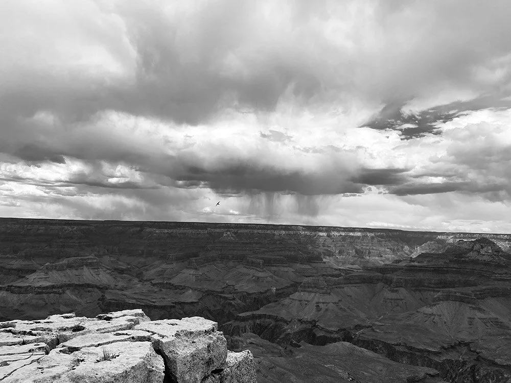 Black and white photo of a landscape with cloudy skies overhead.