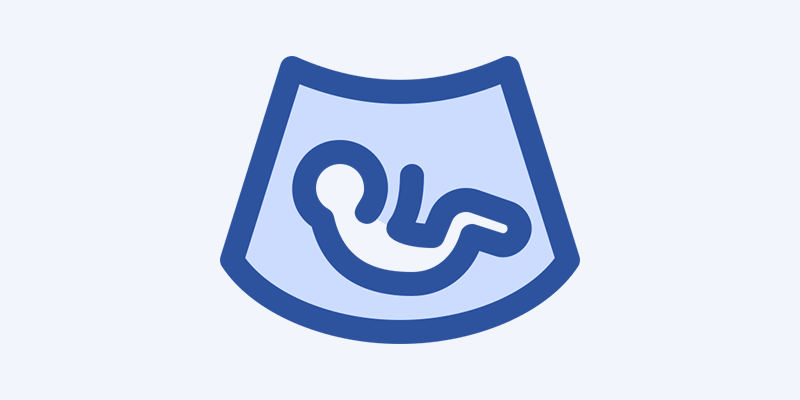 Illustration of a medical ultrasound scan showing a developing fetus.
