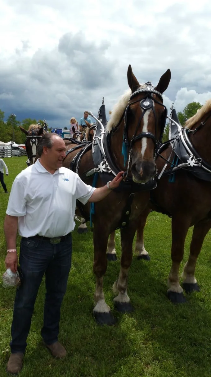	
Mayor Steve Pellegrini standing next to a large brown horse with a white blaze on its face, at an outdoor event with similar horses and people in the background.