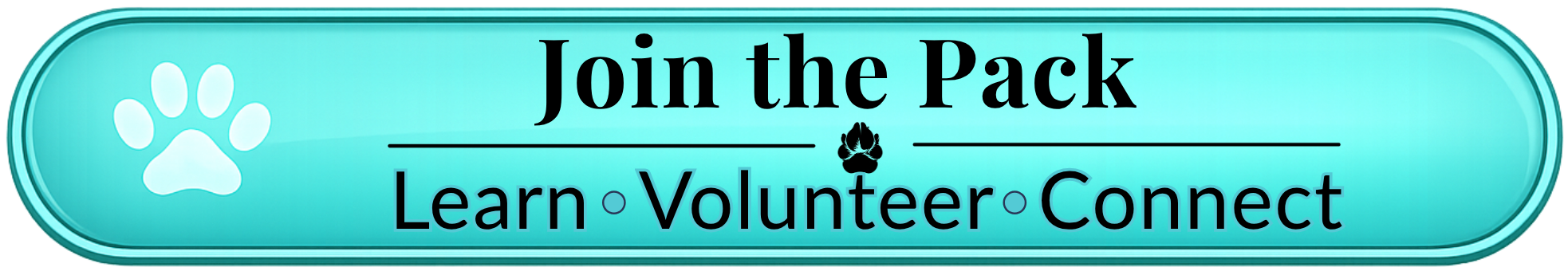Join The Pack - Learn, volunteer, connect