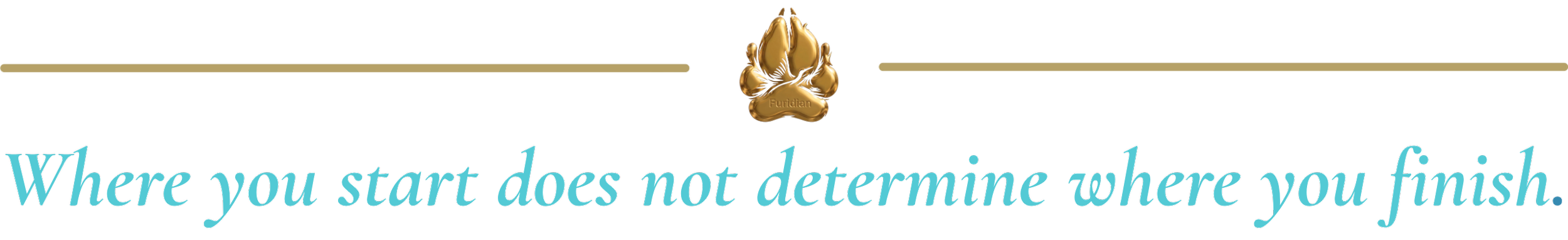 Gold Paw Border
