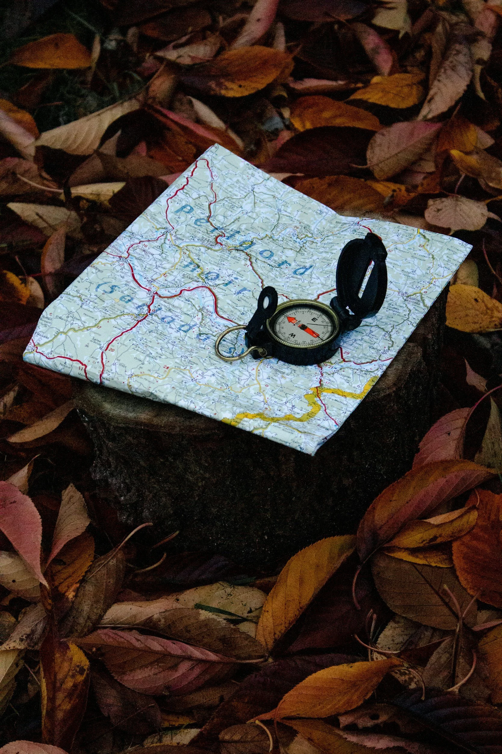 A map with a compass lying on top, surrounded by a bed of fallen autumn leaves in shades of brown, yellow, and pink.