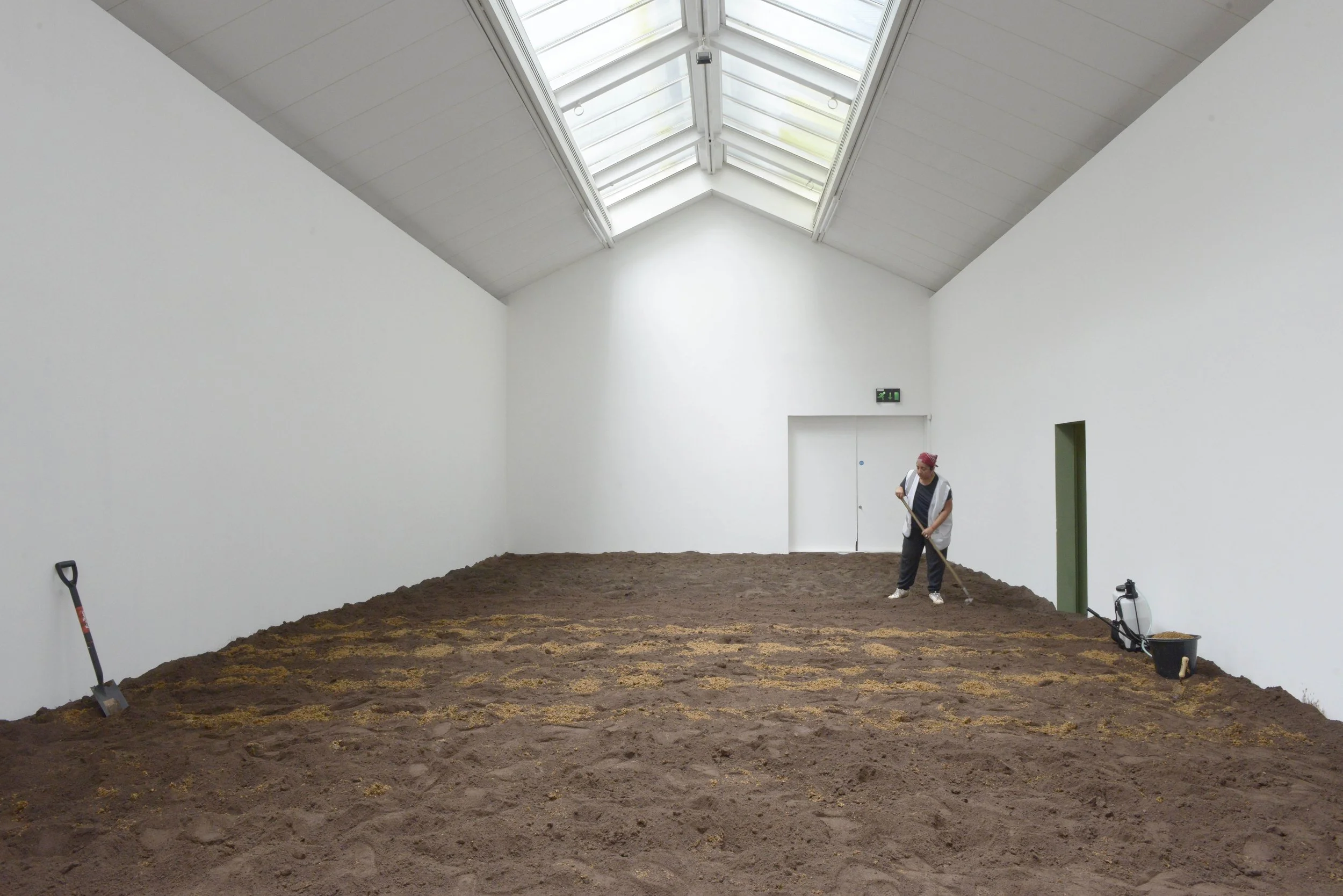 Absorption by Asad Raza 