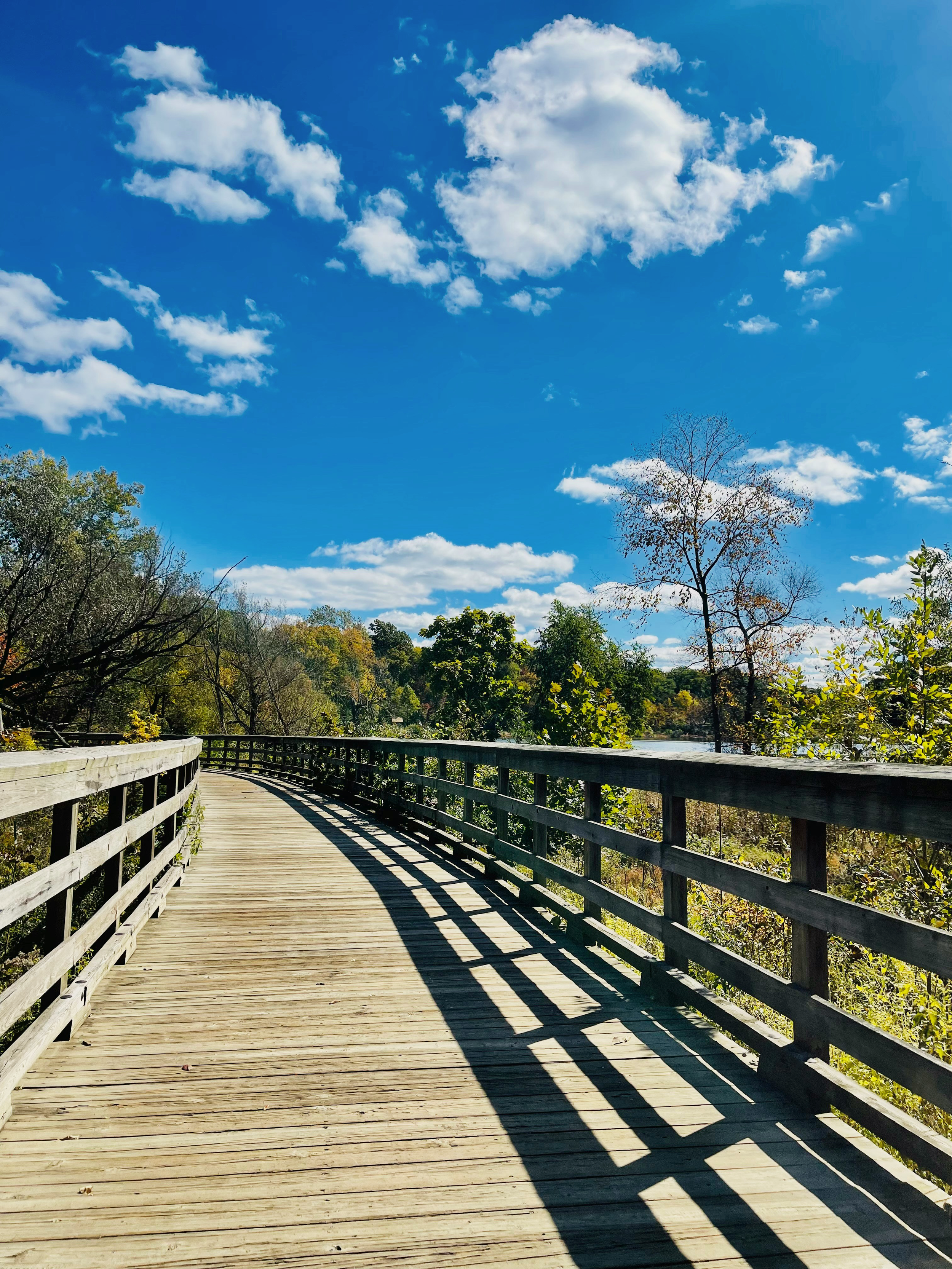 A wooden bridge or pathway with railings over a forested area, with trees and a bright blue sky with scattered clouds in the background.