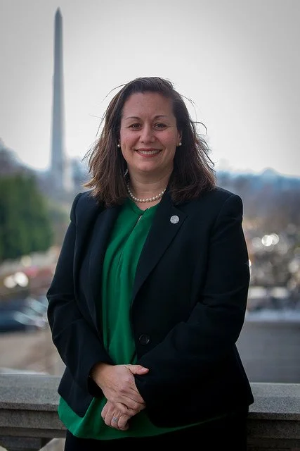Fowler Federal, LLC founder, Dana Fowler. Image of a woman with shoulder-length brown hair wearing a dark blazer over a green blouse, standing outdoors with the Washington Monument in the background.