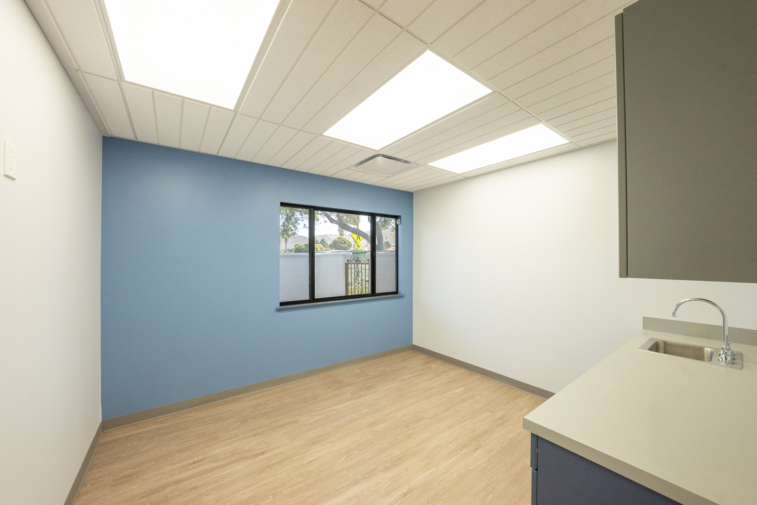 Empty room with white and blue walls, wood-like flooring, large ceiling lights, and a window showing trees and a crosswalk outside.