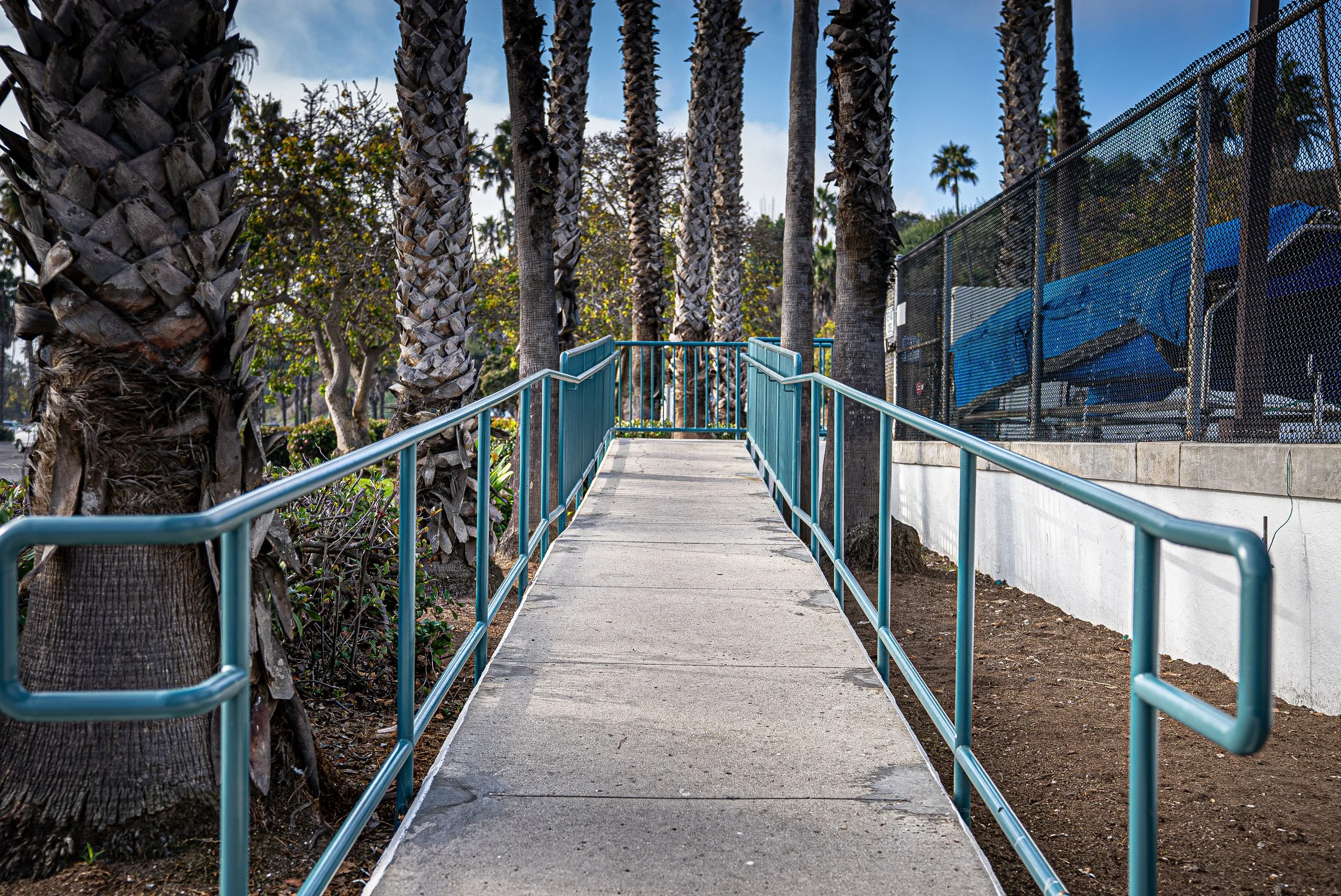 A walkway lined with palm trees on the left and a chain-link fence on the right, leading to a staircase under a partly cloudy sky.
