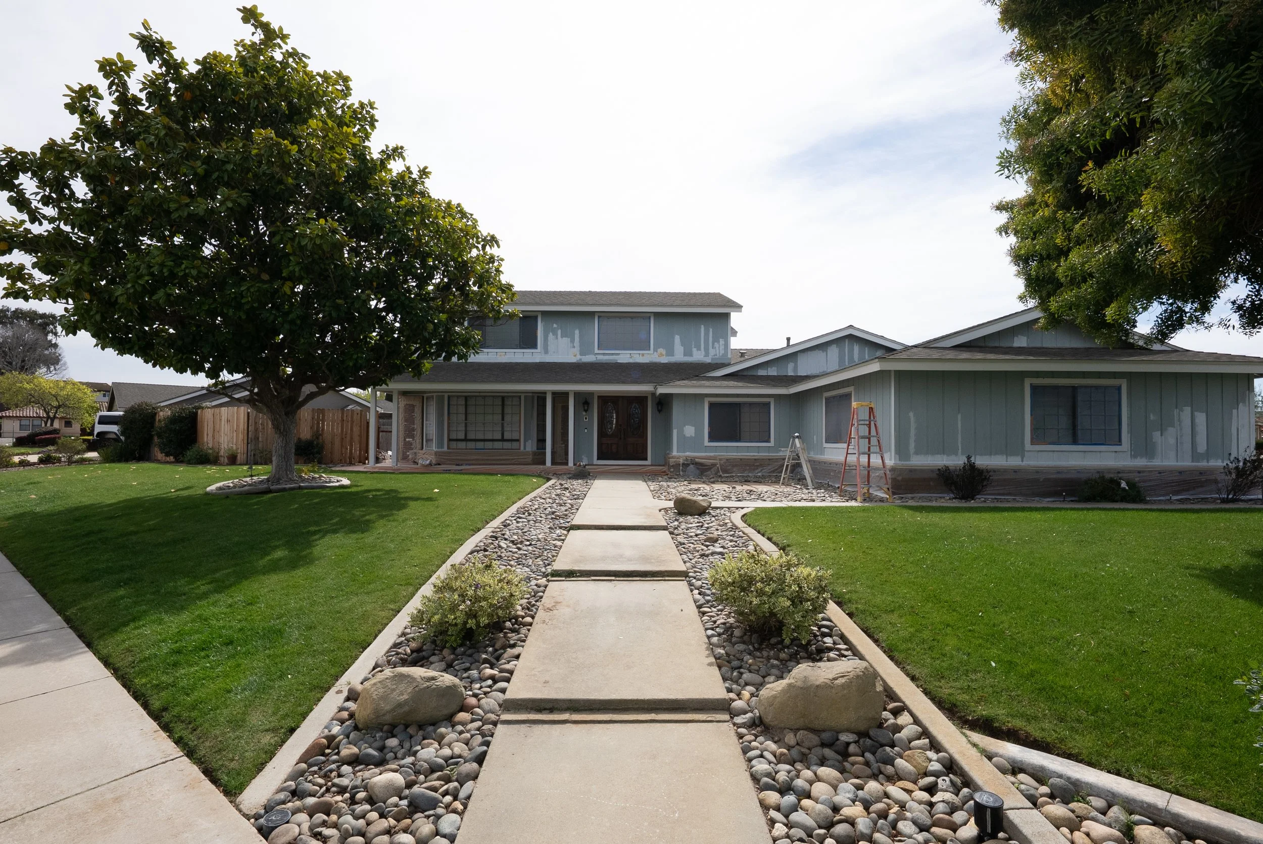 Front yard of a house with a concrete walkway bordered by rocks and small plants, a large tree to the left, and ongoing construction or renovation on the house's upper floor.