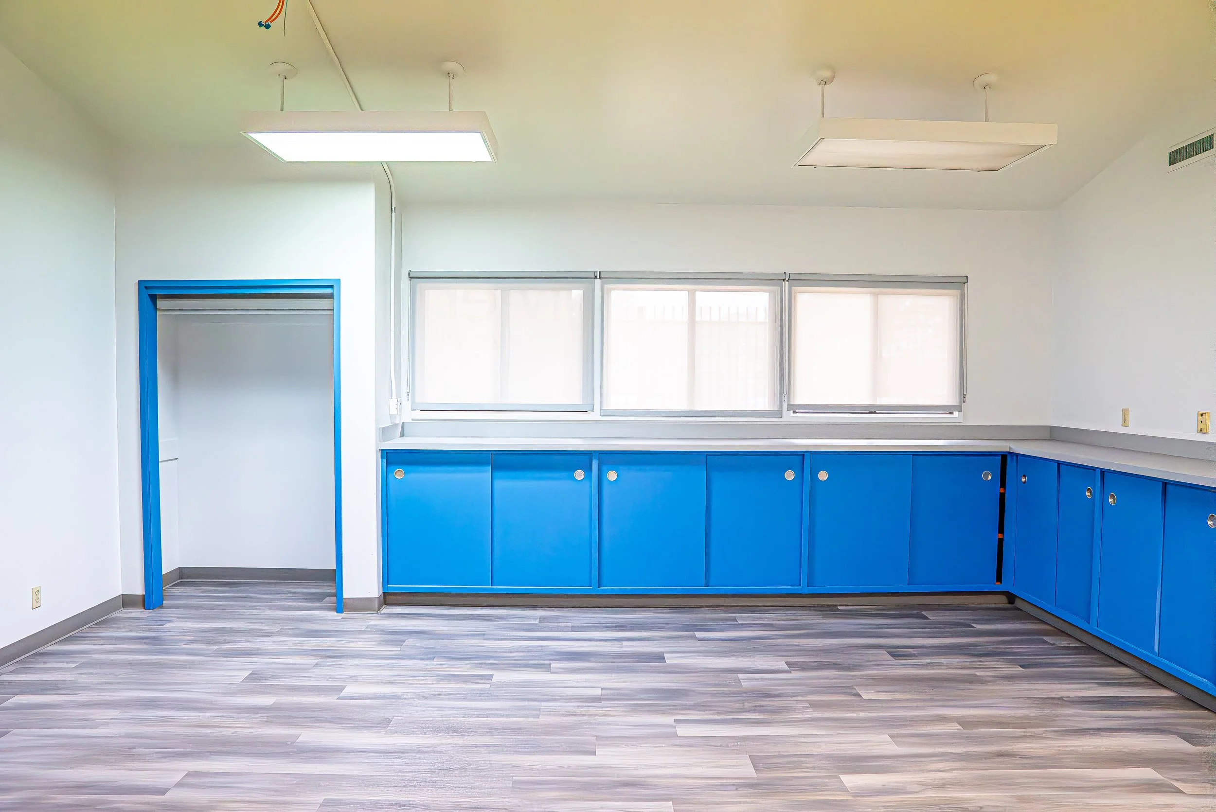 Empty room with blue cabinets, gray floors, and white walls. Two windows and a small open closet with a blue frame. Ceiling lights and vents visible.