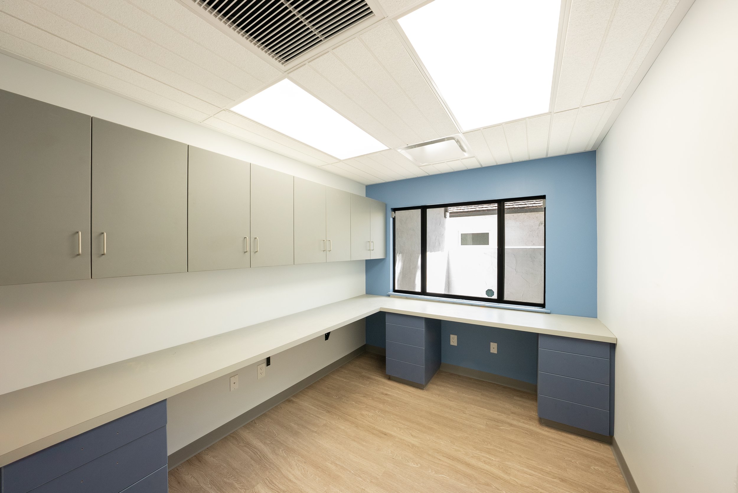 An empty office space with white cabinets on the left, a countertop running along the wall, blue-painted walls, a window with black frames, and a ceiling with bright fluorescent lights.