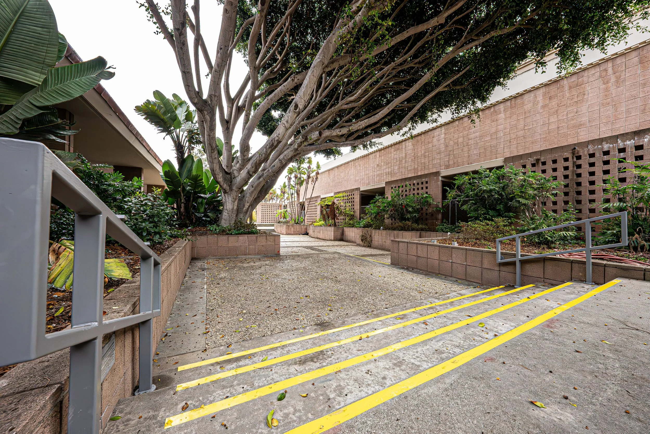 An outdoor scene showing a paved pathway with yellow painted steps, surrounded by lush green plants and trees, with a brick building in the background.