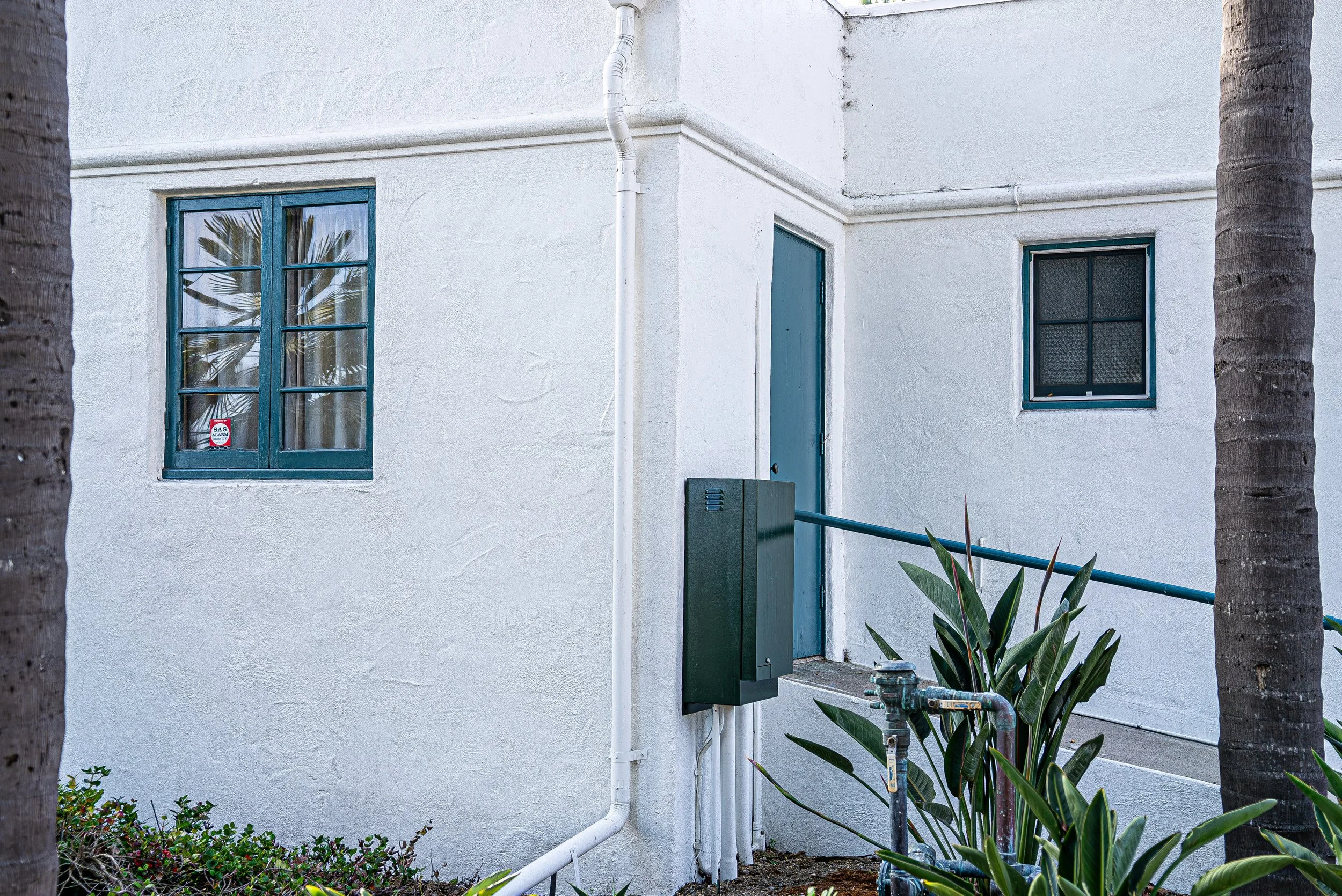 White building exterior with two blue framed windows, a door, and visible piping along the wall, with palm trees partially visible on both sides.