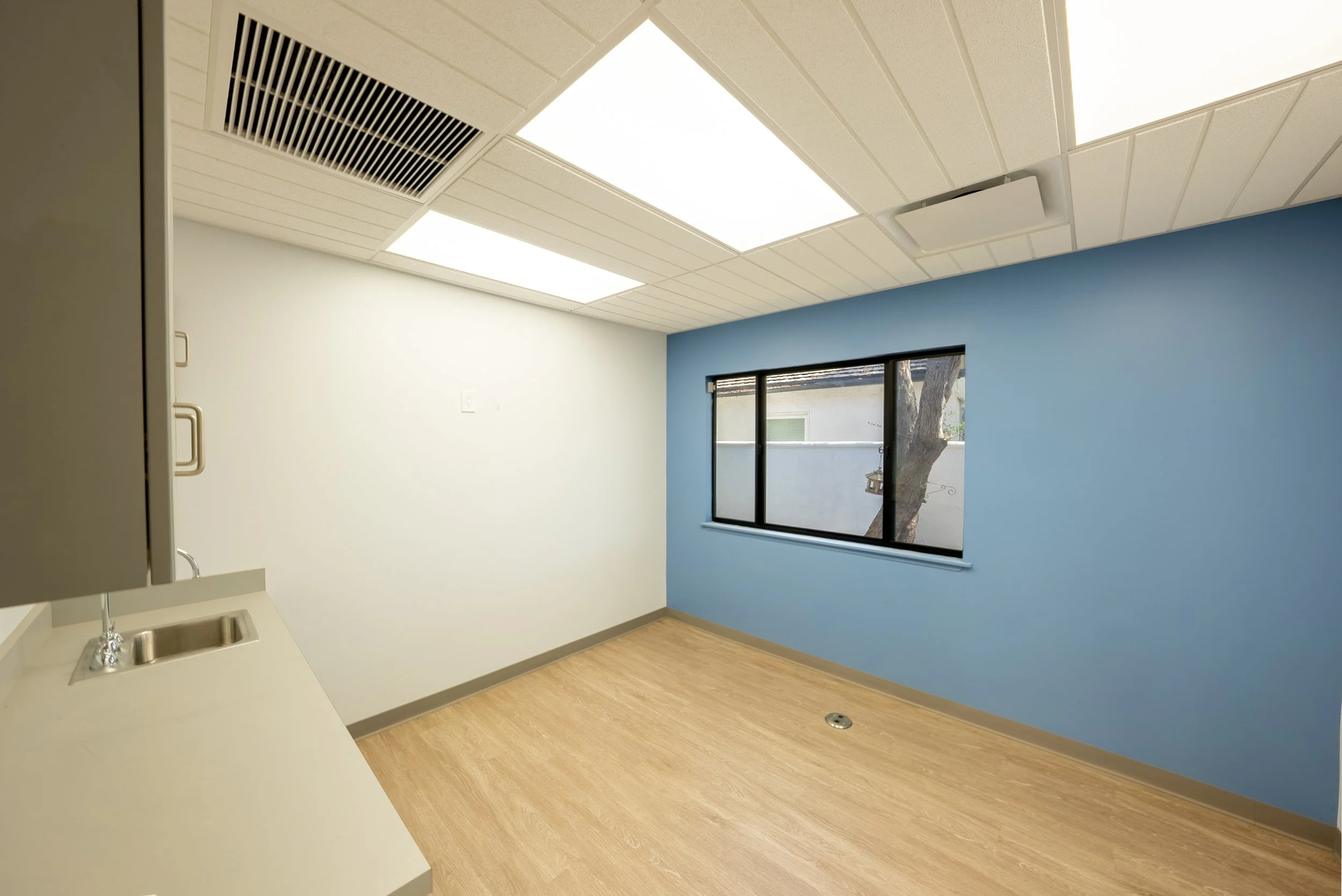 An empty room with a blue accent wall, beige flooring, a window with a view of trees outside, and a ceiling with two large bright light panels and a vent.