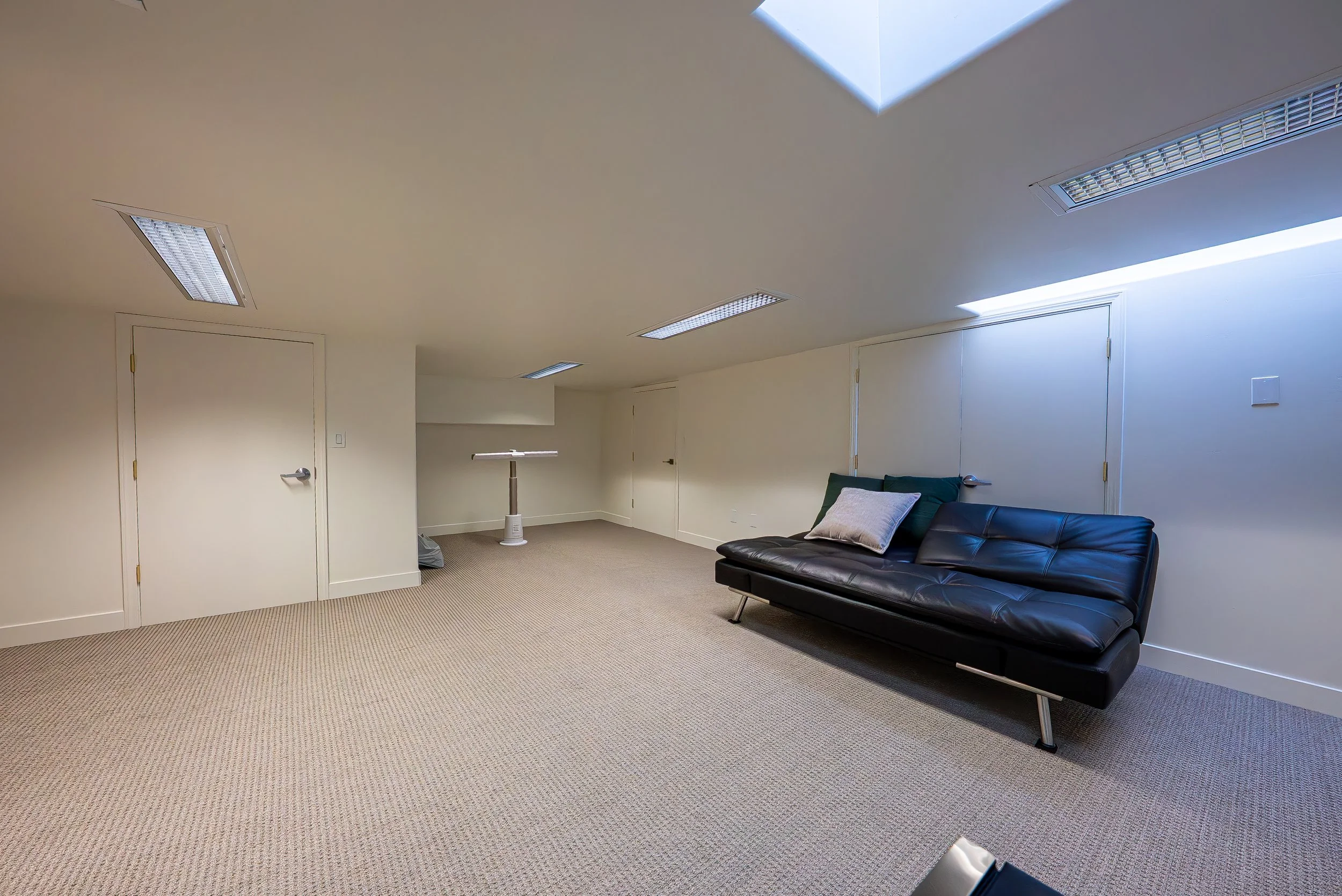 A plain room with beige carpet, white walls, ceiling lights, a black leather sofa, a pillow on the sofa, and a heater radiator near the wall. There are doors and a window in the ceiling letting in natural light.