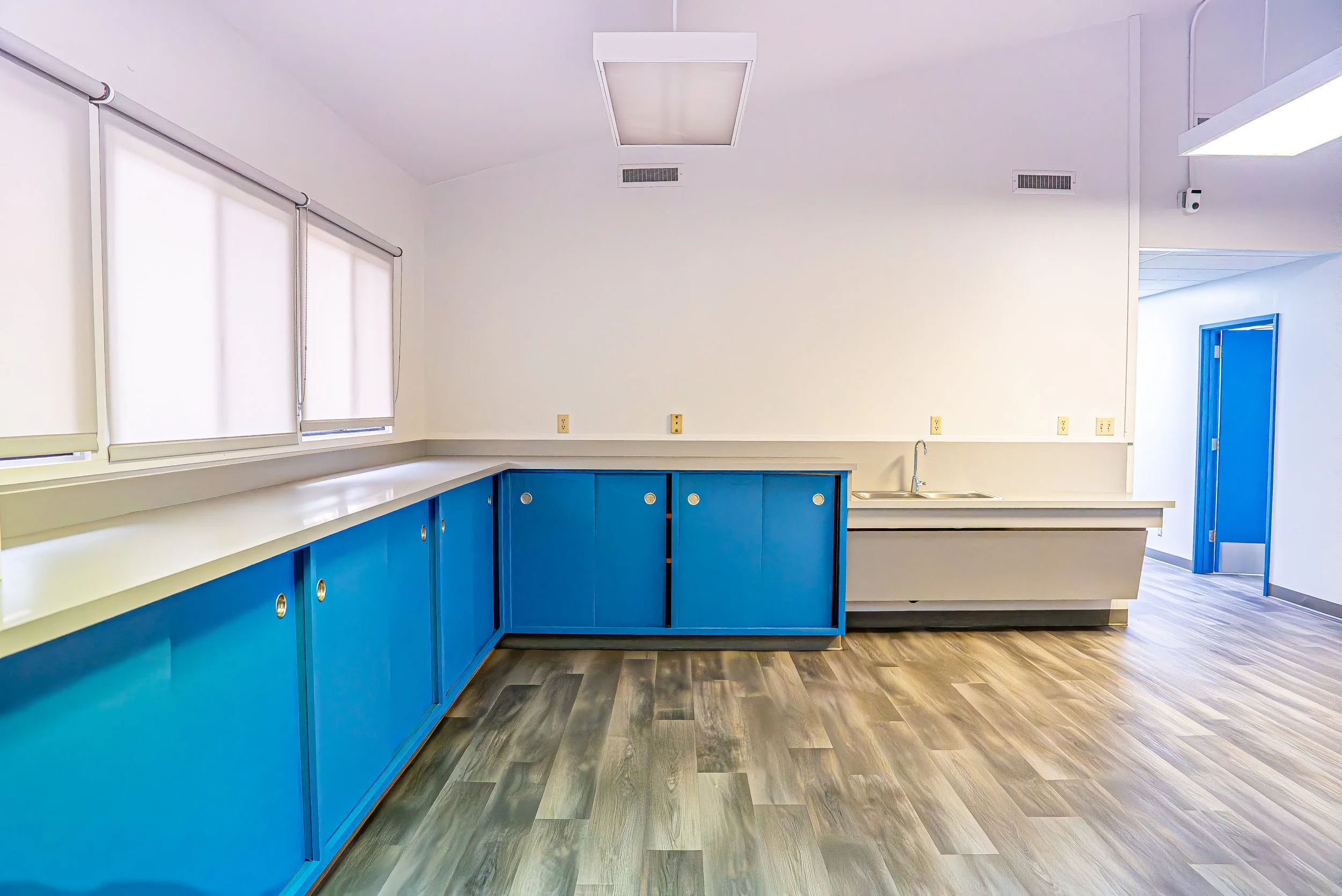Empty room with white walls, blue cabinets, a sink, windows with blinds, and a door with a blue frame.