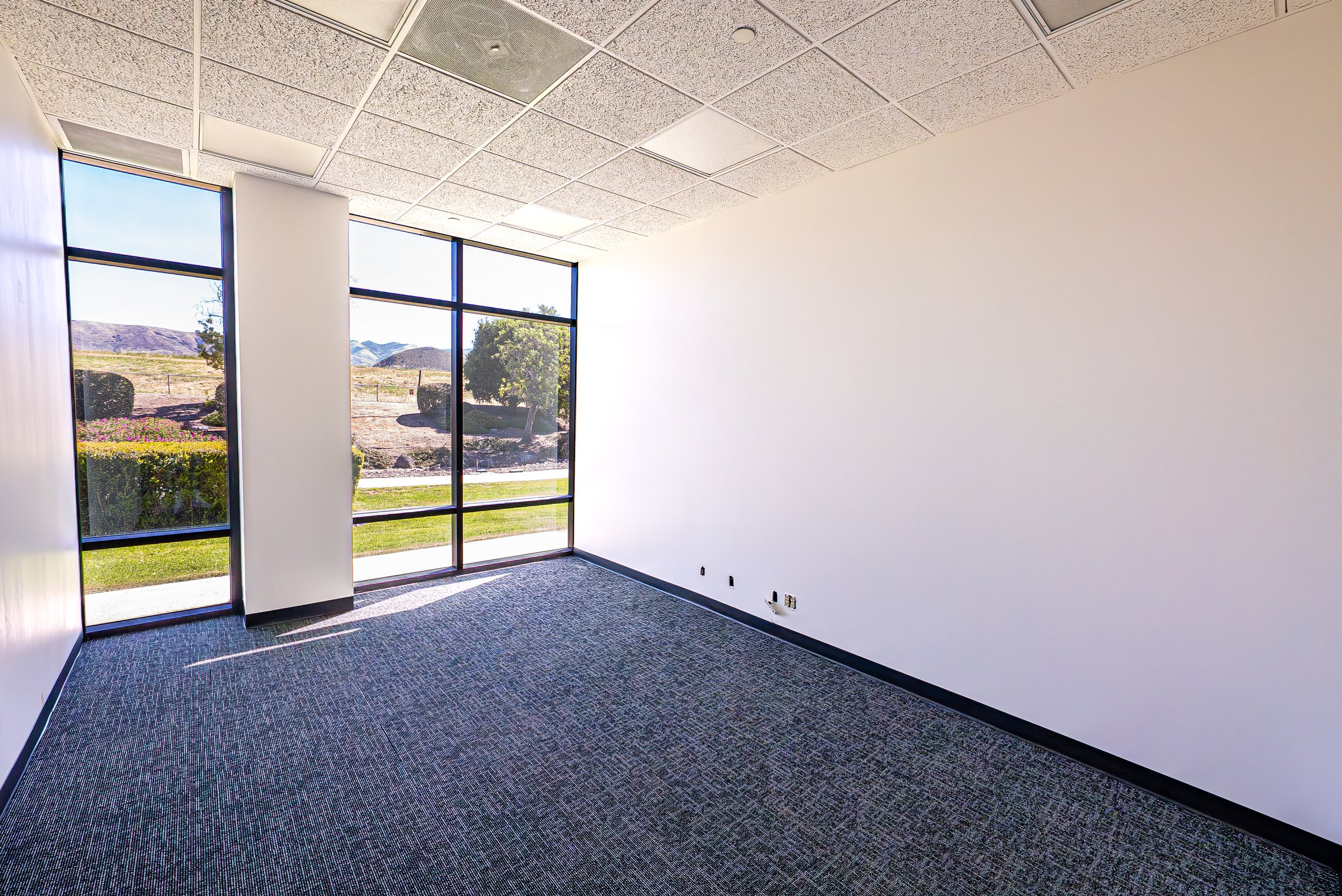 Empty room with large floor-to-ceiling windows showing an outdoor landscape with trees and mountains, white walls, textured ceiling tiles, and a gray carpeted floor.