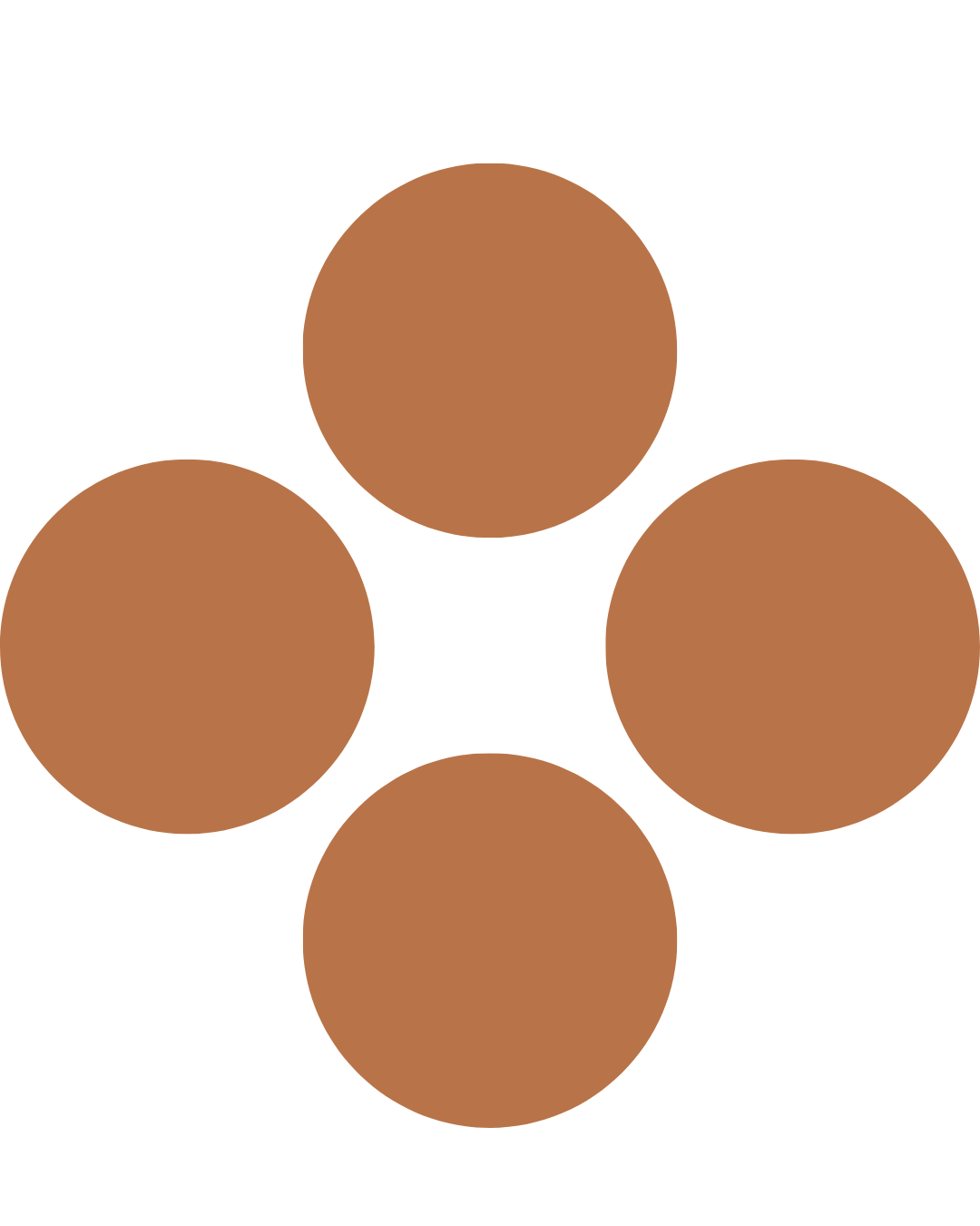 Four brown circles arranged in a square pattern on a black background.