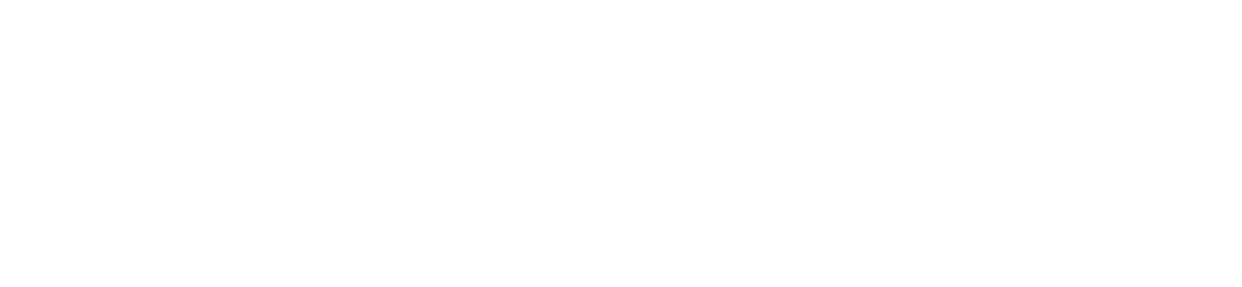 Logo of Fish Eireann Screen Ireland, featuring a stylized fish icon and text in white on a black background.